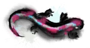 Sex-Salamander Artwork
