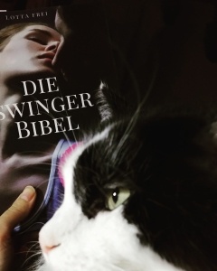 Mit der Katze über Swinger Club lesen